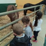 sortie-ferme-equestre